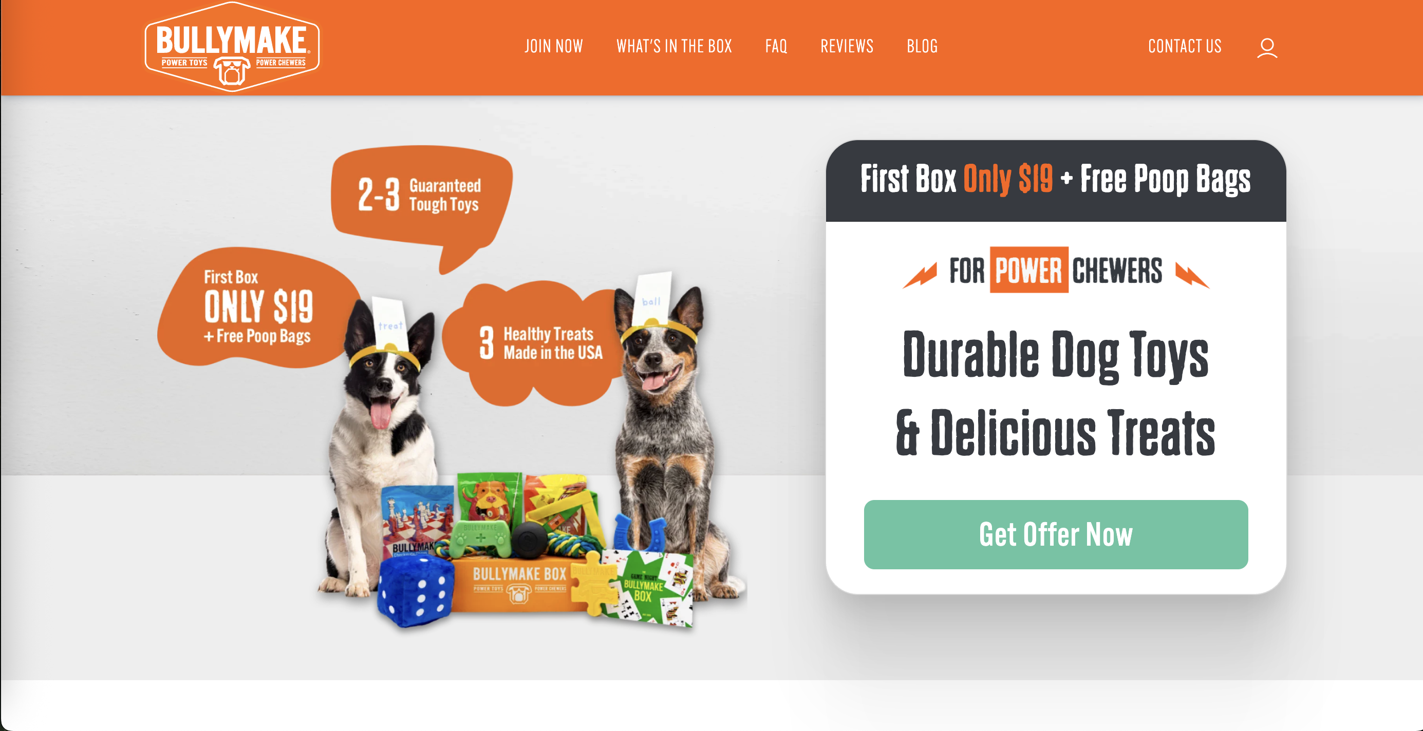 Bullymake Review 2026: The Ultimate Subscription Box for Power Chewers – Is It Worth It?
