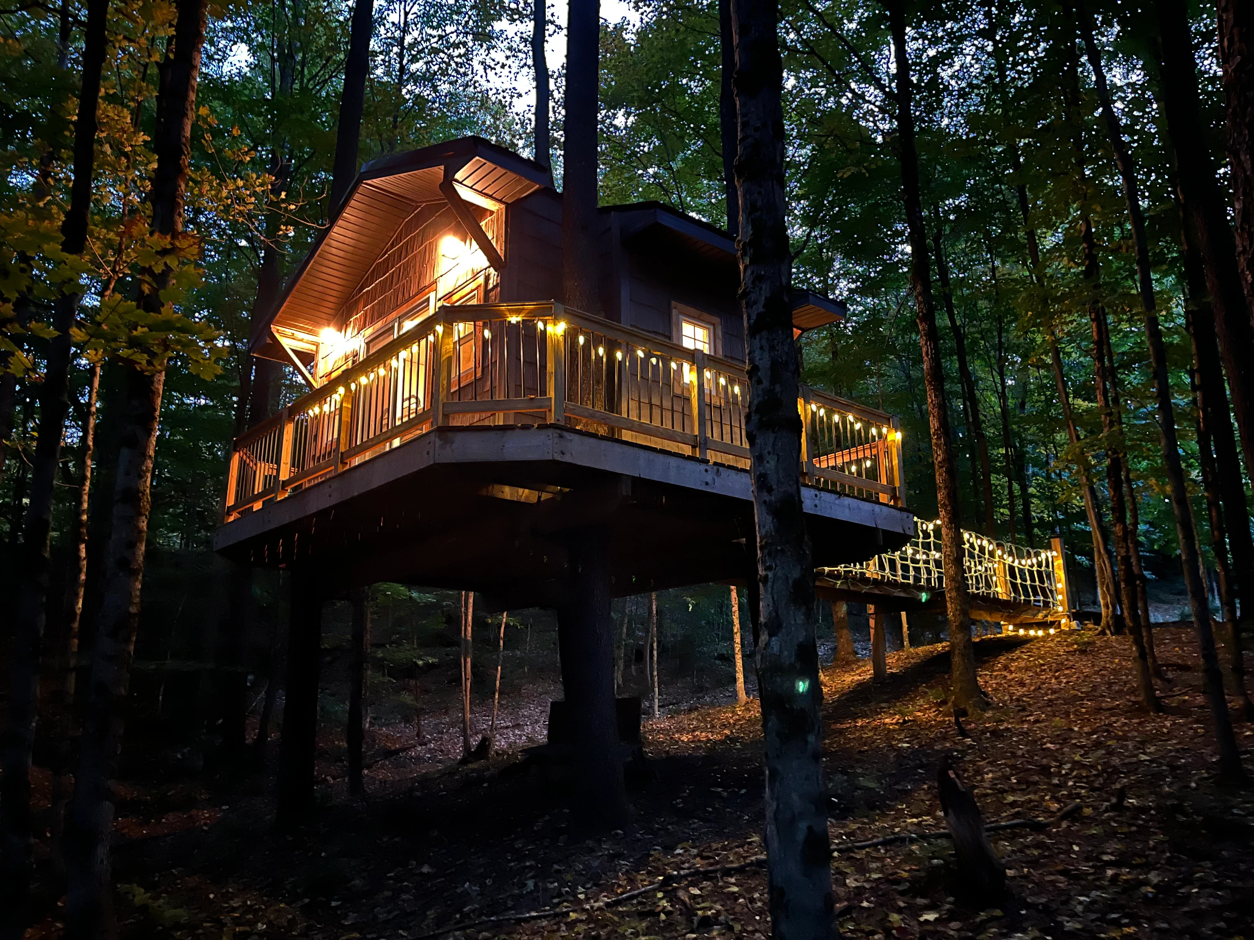 Treehouse Supplies Review 2026: The Go-To Source for Professional Treehouse Hardware and Plans?