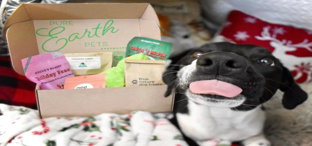 Pet Subscription Boxes, Food Deals: Best Offers and Savings for Your Pet